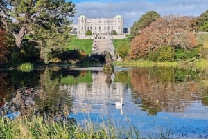 Dublinista: Wicklow Mountains ja Glendalough Yksityinen kiertoajelu