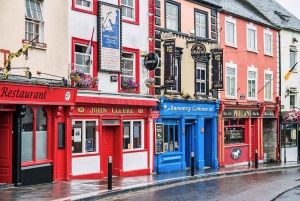 From Dublin: Wicklow Mountains, Glendalough & Kilkenny Tour