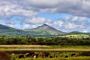 Poznaj góry Wicklow, Glendalough i Kilkenny