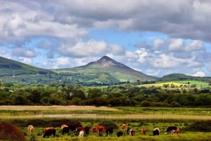 Från Dublin: Wicklow Mountains, Glendalough & Kilkenny Tour