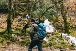 From Dublin: Wicklow Mountains, Glendalough & Kilkenny Tour