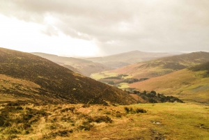 Z Dublina: Wycieczka w góry Wicklow i do Glendalough