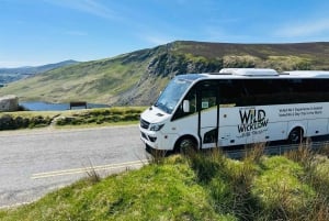 From Dublin: Wild Wicklow Mountains and Glendalough Tour