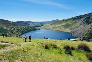 From Dublin: Wild Wicklow Mountains and Glendalough Tour