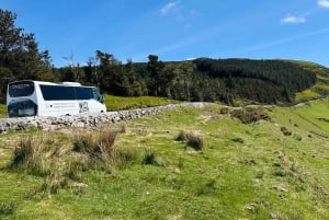 From Dublin: Wild Wicklow Mountains and Glendalough Tour