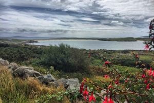 From Galway: Connemara and Connemara National Park Day Tour