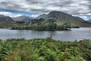 From Galway: Connemara and Connemara National Park Day Tour