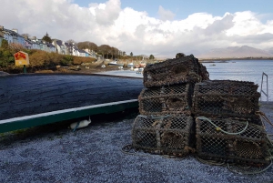 From Galway: Connemara and Connemara National Park Day Tour