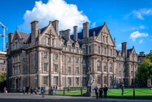 Privat heldagstur i Dublin fra DunLaoghaire havn