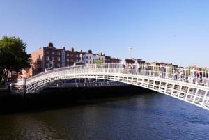 Koko päivän yksityinen Dublinin kierros