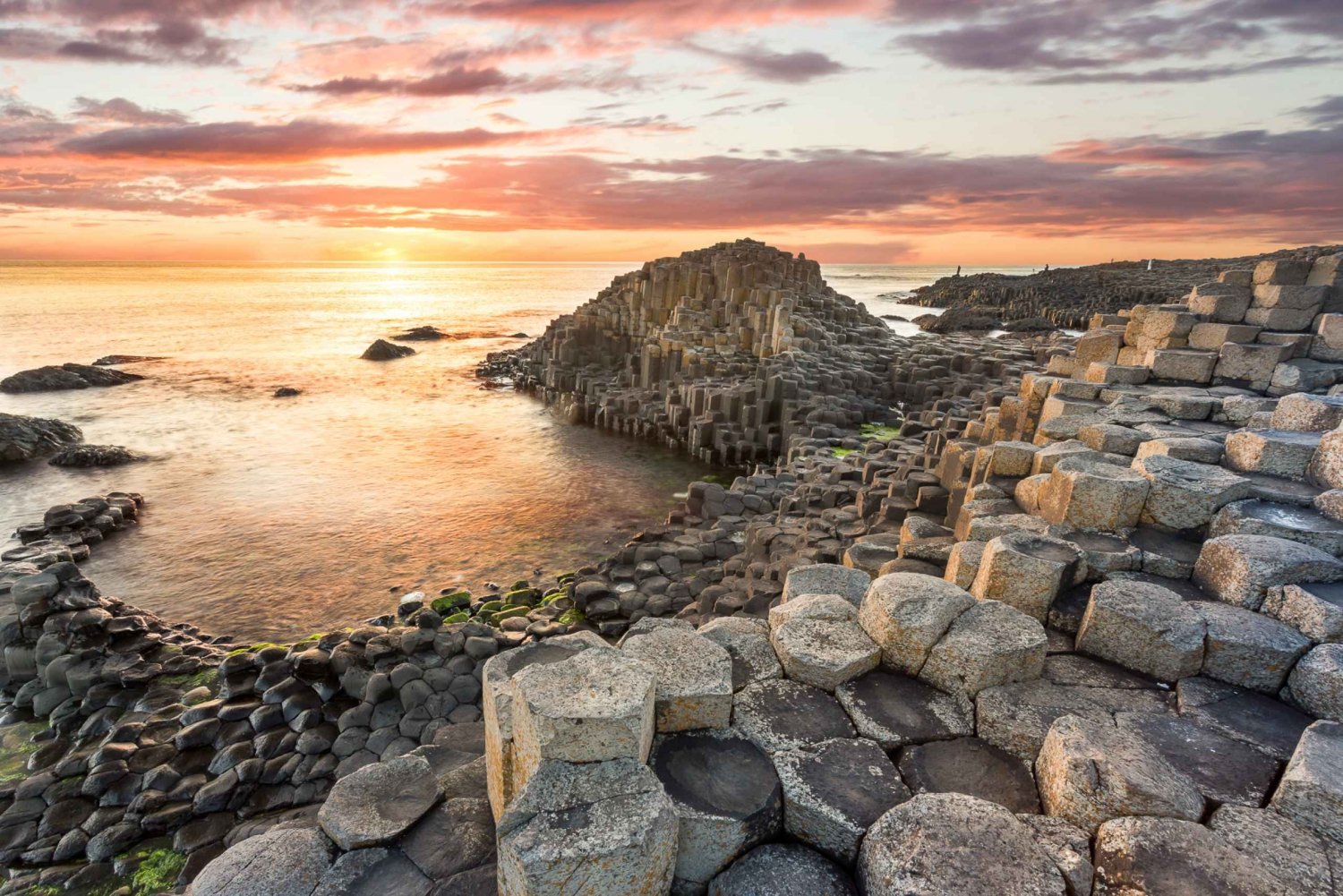 From Dublin: Full-Day Giant's Causeway with Fast-Track Entry
