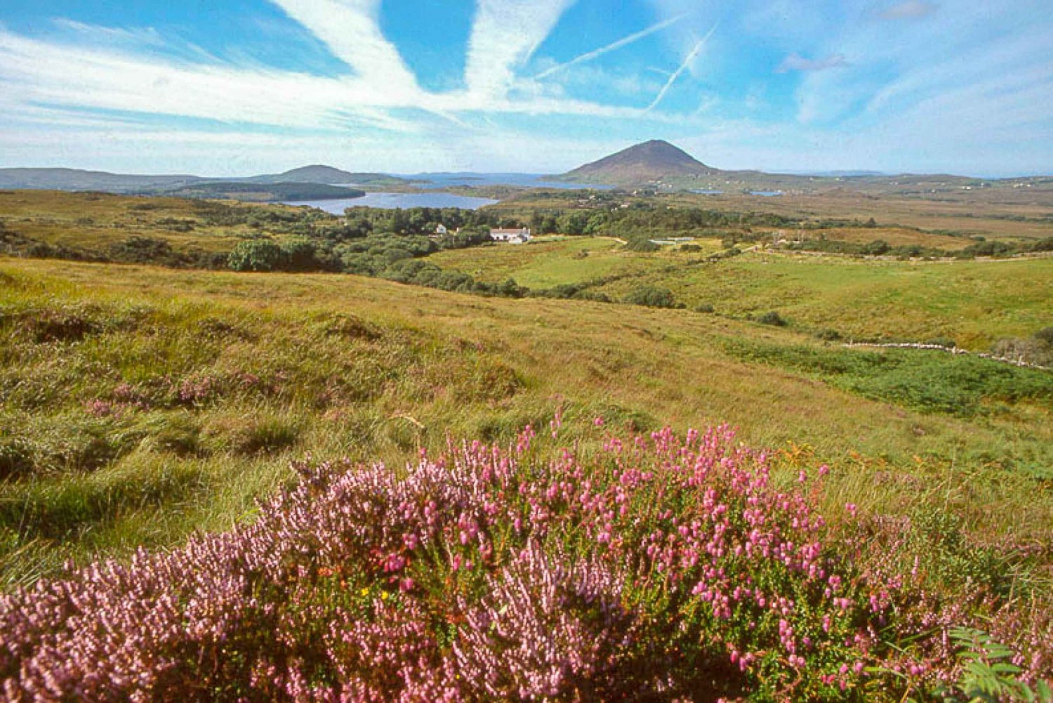 Full-Day Tour to Connemara/Cong from Dublin
