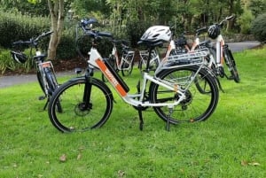 Excursión autoguiada en bicicleta eléctrica por la ciudad de Galway: Medio día