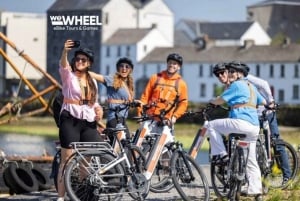 Wycieczka na rowerze elektrycznym z przewodnikiem po mieście Galway: Pół dnia