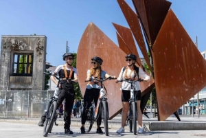 Excursión autoguiada en bicicleta eléctrica por la ciudad de Galway: Medio día