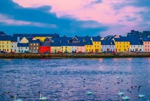 Conductor Privado Galway: Visitas y Traslados Personalizados