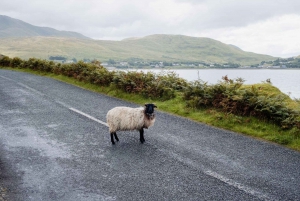 Prywatny kierowca w Galway: Spersonalizowane wycieczki i transfery