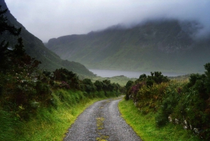 Motorista particular em Galway: Passeios e traslados personalizados