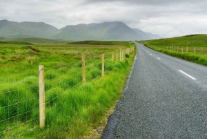 Conductor Privado Galway: Visitas y Traslados Personalizados