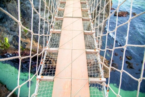 From Dublin: Giant's Causeway & Belfast City Bus Tour