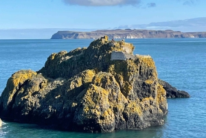 Giants causeway & Belfast private tour