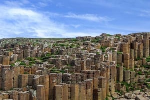 Giant's Causeway Yksityinen autonkuljettaja päiväkierros Ylellinen 6 istuinpaikkainen autoilu