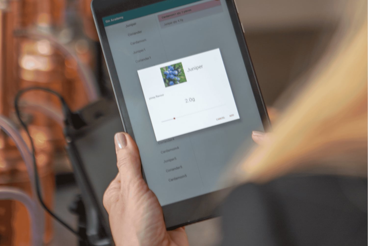 Gin School, destile seu próprio gin, coquetéis, degustações, comida