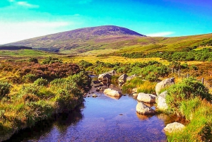 Glendalough and Wicklow Half-Day Tour from Dublin