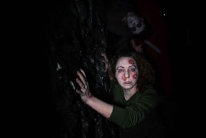 Gravedigger Ghost Tour in + City 24hr Sightseeing Dublin