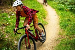 Giro in bicicletta su ghiaia a Dublino