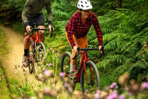 Giro in bicicletta su ghiaia a Dublino