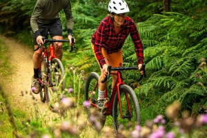 Gravel Bike Ride Dublin