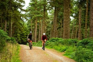 Gravel Bike Ride Dublin