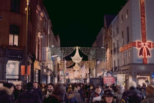 Dublin: Historiallinen opastettu kävelykierros ja Dublinin linnalippu