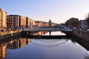 Dublin: Historic Guided Walking Tour & Dublin Castle Ticket