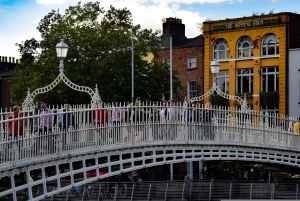 Dublin: Historic Guided Walking Tour & Dublin Castle Ticket