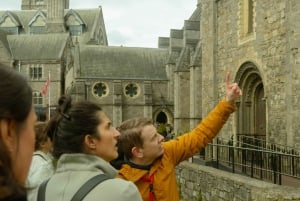Dublin: Två timmars guidad historisk vandringsrundtur