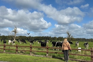 Historia och kulturarv: Kells, Trim, Loughcrew Cairns, Fore