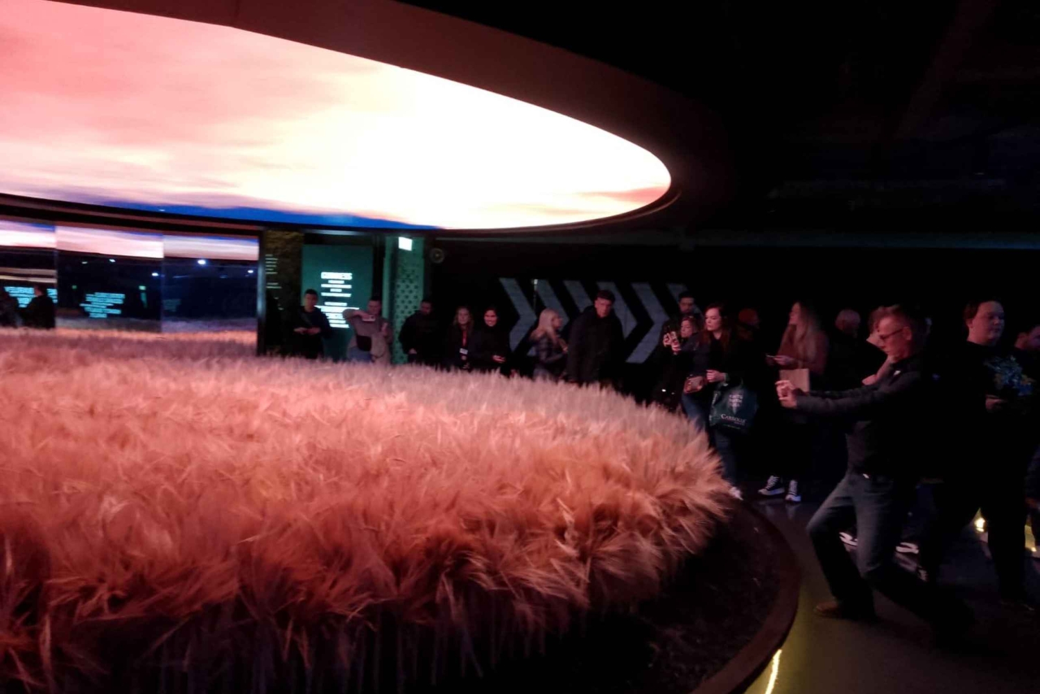 House of Guinness-tour met toegang tot het Guinness Storehouse