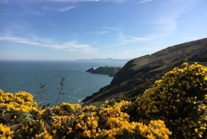 Howth: 5-Hour Tour in Italian with Boat Trip and Trekking