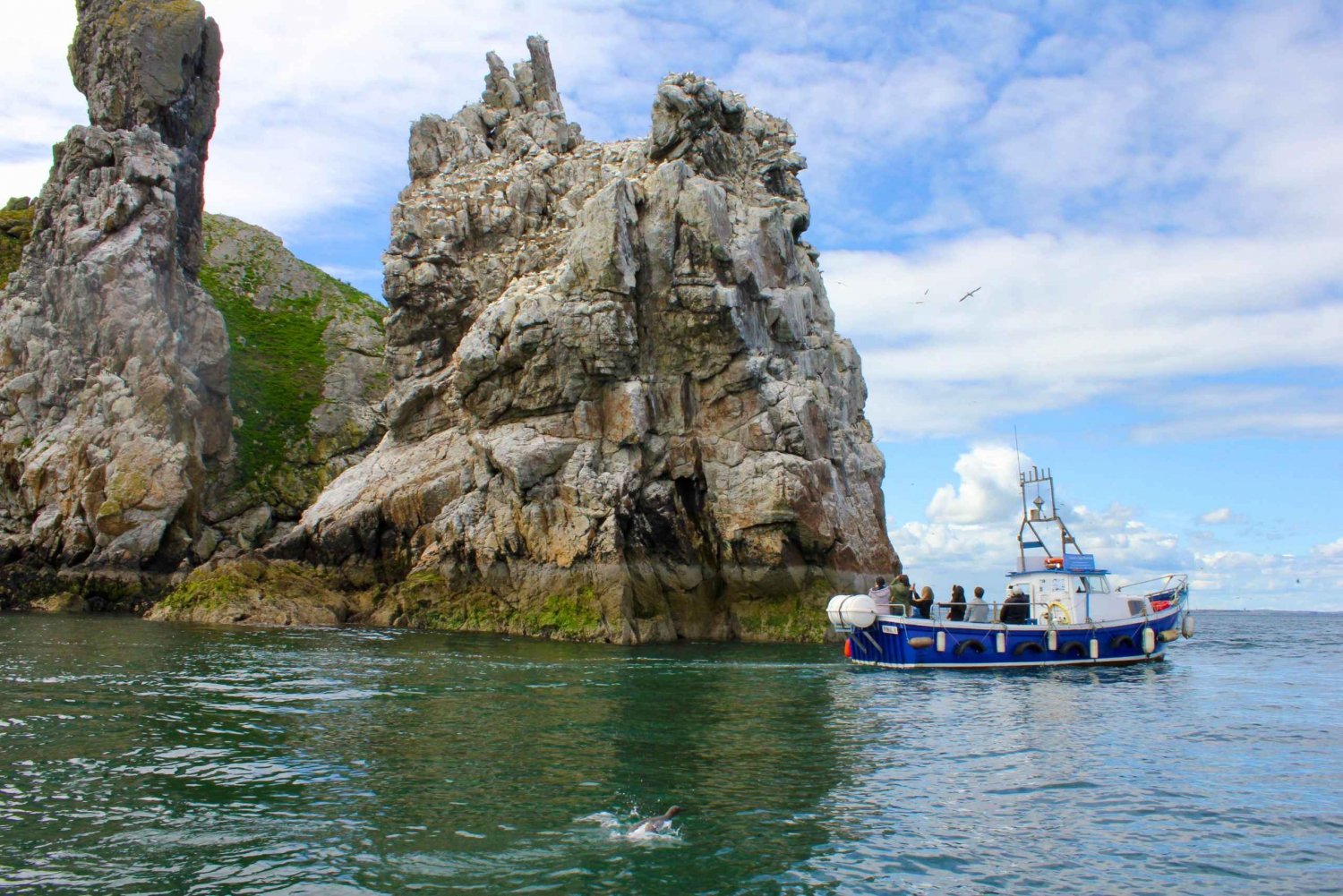 Dublin: Howth Coastal Boat Tour with Ireland's Eye Ferries