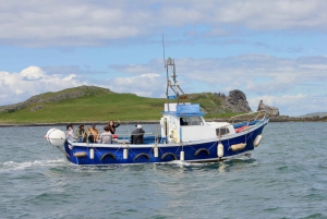 Dublin: Howth Coastal Boat Tour with Ireland's Eye Ferries