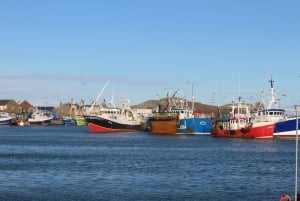Howth: Craft Beer and Seafood Trail