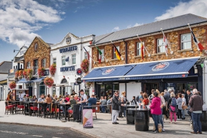 Dublin: Howth Walking Tour with Local Guide