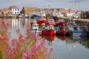 Dublin: Howth Walking Tour with Local Guide