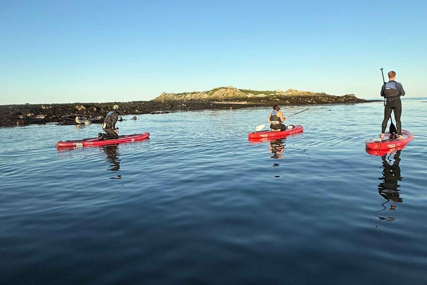 Howth: Paddleboarding Lesson in Howth Harbour