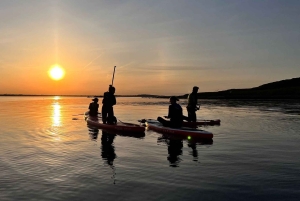Howth: Paddleboarding Lesson in Howth Harbour