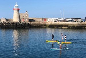 Howth: Paddleboarding Lesson in Howth Harbour