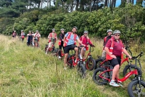 Howth : Tour panoramique en e-bike