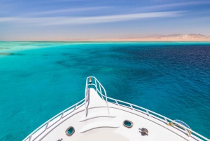 Hurghada: Dolphin Watching Private Yacht & Island Tour